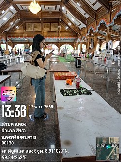 ผลงานที่ผ่านมา